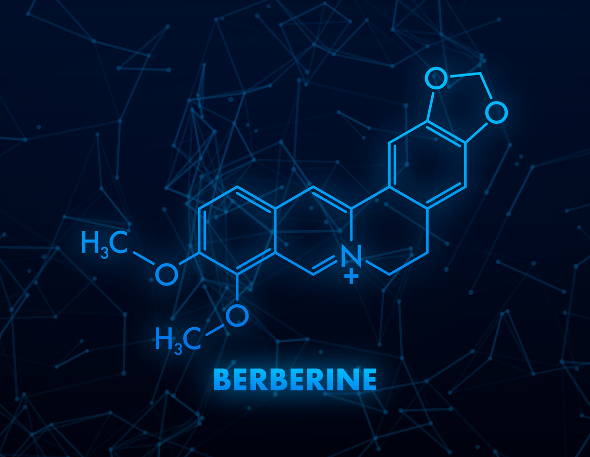 Featured image for “Berberine as Nature’s Metformin | The Metabolic Health Booster You NEED”